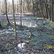 Odbahnění přehrady 2006-2008
